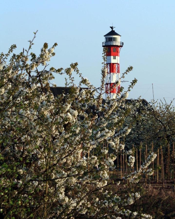 Grünendeich Fewo Blankenese Im Haus Luehegarten מראה חיצוני תמונה
